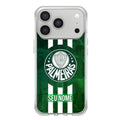 Capa Palmeiras 2